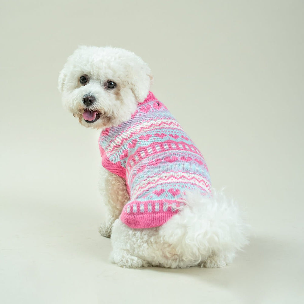 Bubble Gum Alpaca Dog Sweater on Model Sitting by Fetch Shops