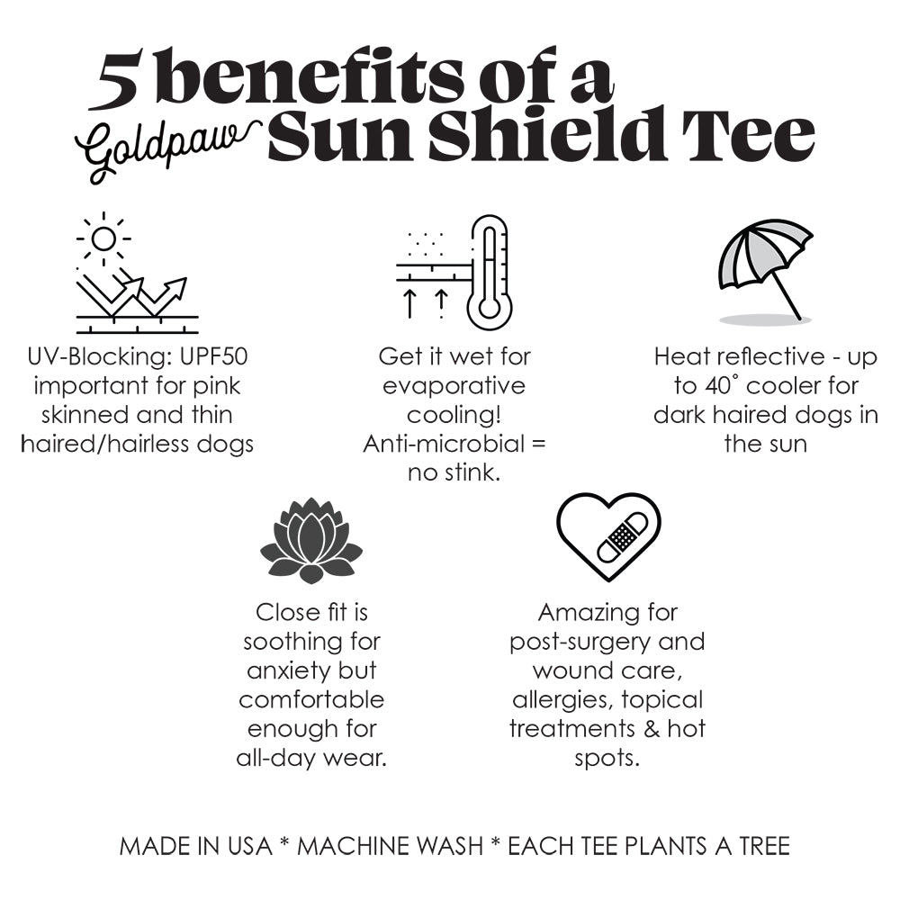 5 benefits of the Sun Shield Tee by Fetch Shops