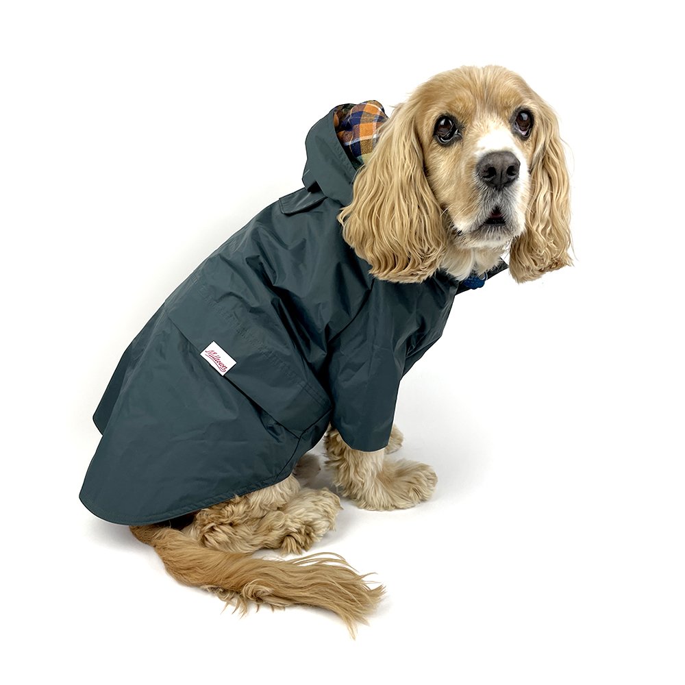 Dog Rain Jacket in Forest Green on Model Sitting by Fetch Shops