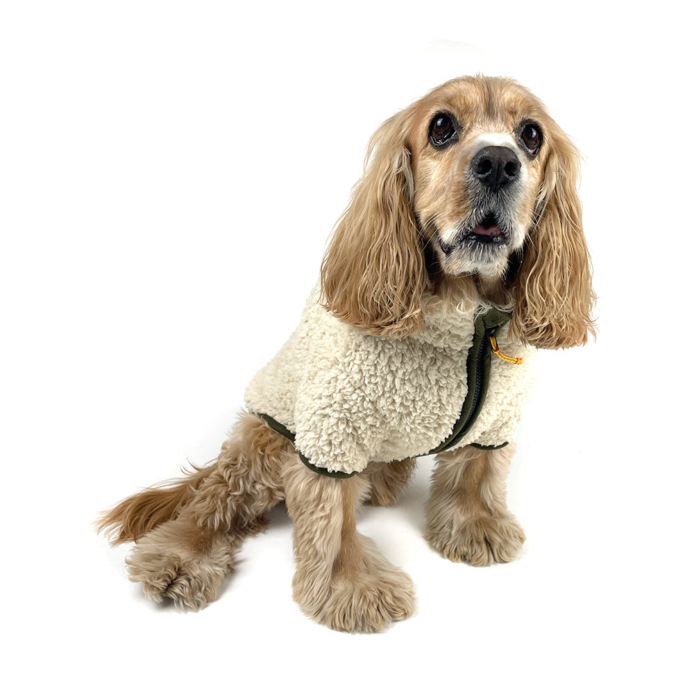 Sherpa Fleece Dog Jacket in Cream/Olive on Model Front by Fetch Shops
