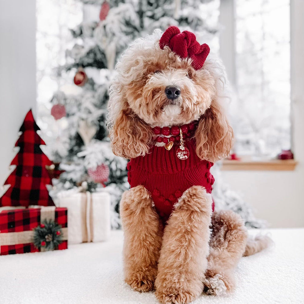 Red Velvet Dog Sweater on Model by Fetch Shops