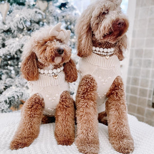 Sugar Cookie Dog Sweater on Models by Fetch Shops