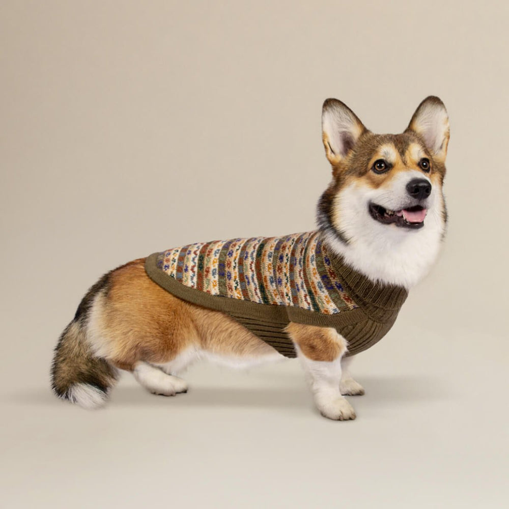 Chocolate Bands Alpaca Dog Sweater on Model 2 by Fetch Shops