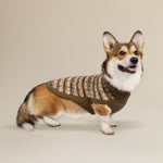 Chocolate Bands Alpaca Dog Sweater