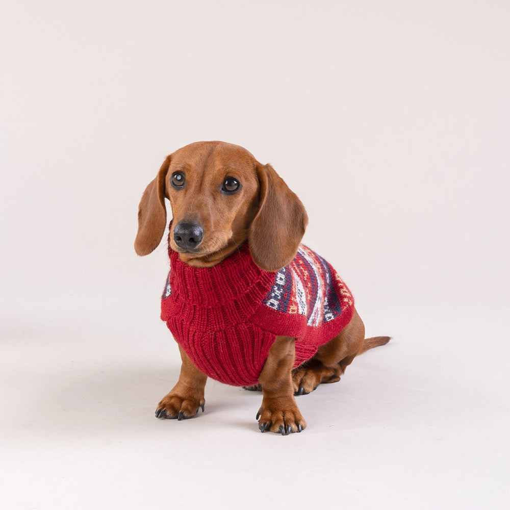Heritage Alpaca Dog Sweater on Model 2 by Fetch Shops