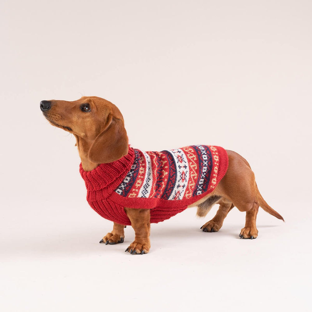 Heritage Alpaca Dog Sweater on Model by Fetch Shops
