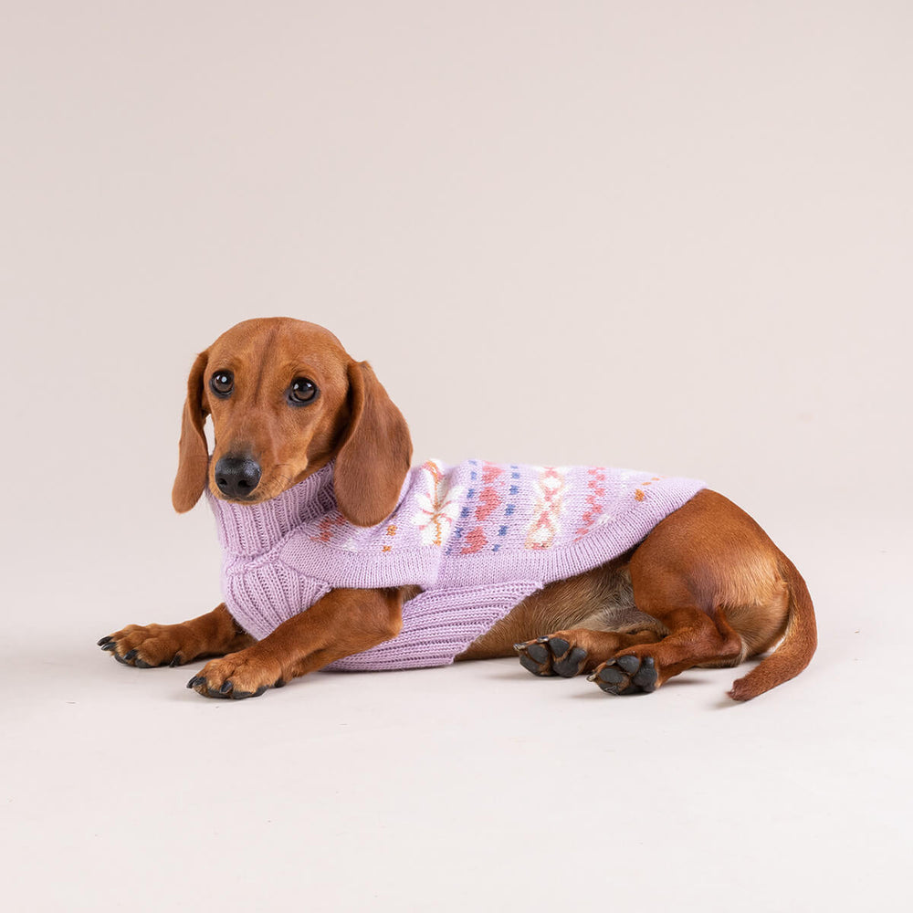 Lavender Sunrise Alpaca Dog Sweater on Model 2 by Fetch Shops