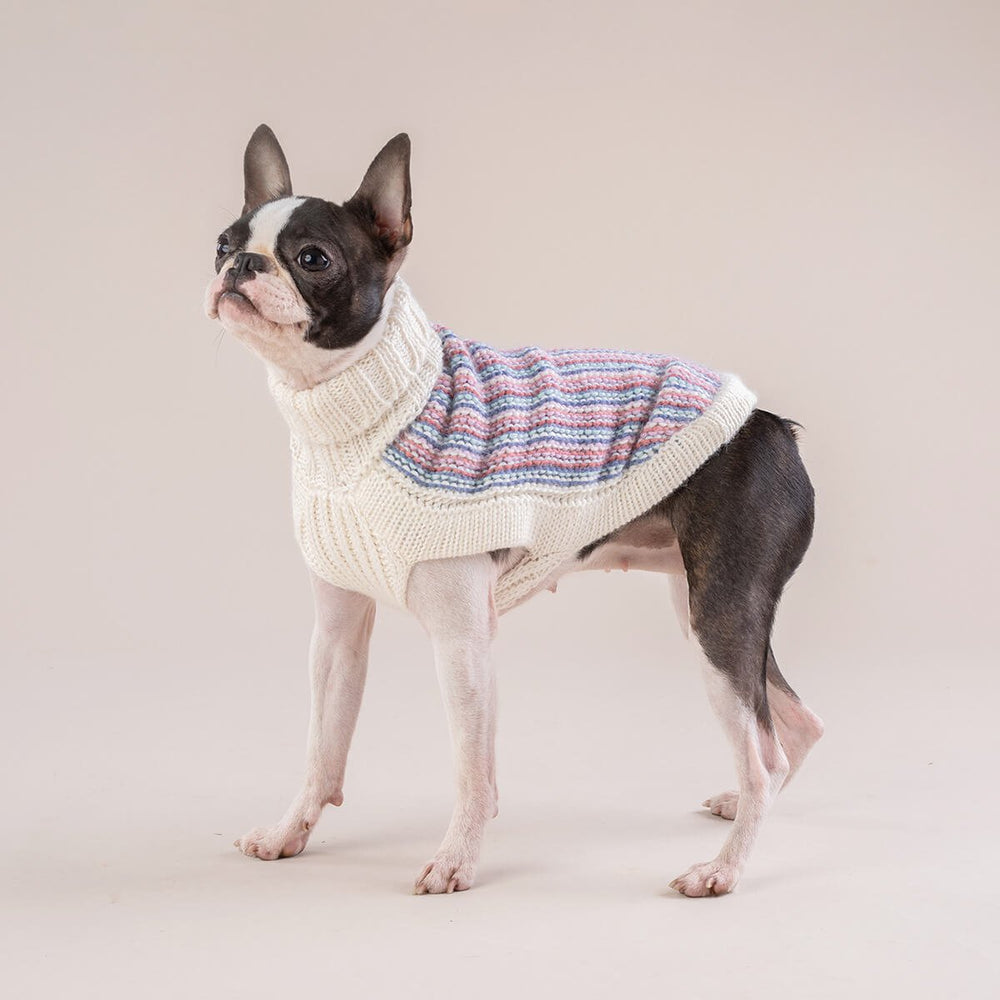Popcorn Candy Alpaca Dog Sweater on Model 2 by Fetch Shops