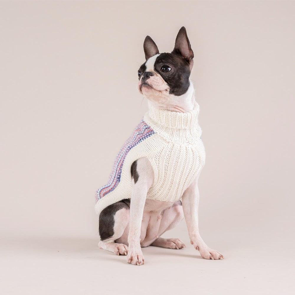 Popcorn Candy Alpaca Dog Sweater on Model 1 by Fetch Shops