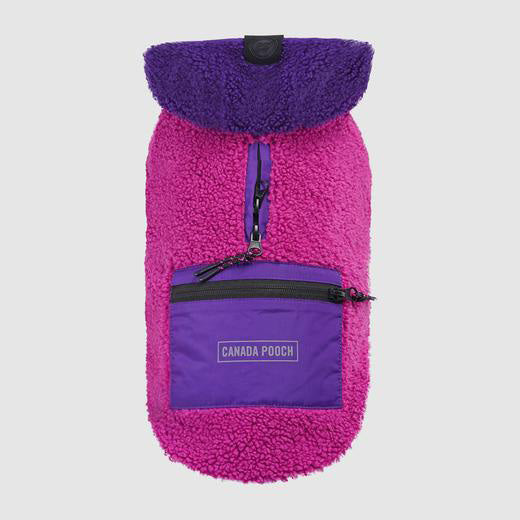 Cool Factor Dog Hoodie in Pink/Purple by Fetch Shops
