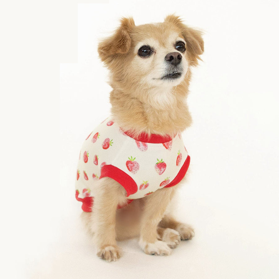 Strawberry Sleeveless Dog Top on Model by Fetch Shops