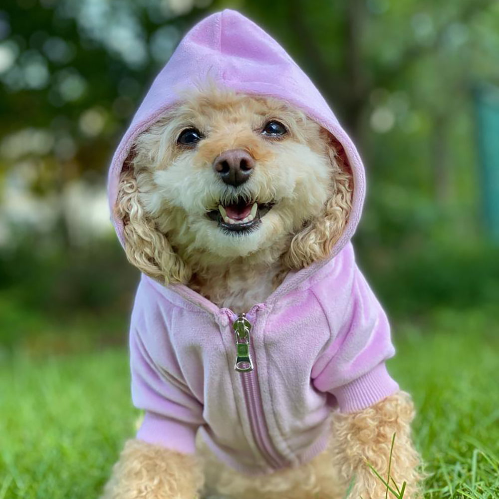The Lilac Velour Hoodie Dog on Model 3 by Fetch Shops