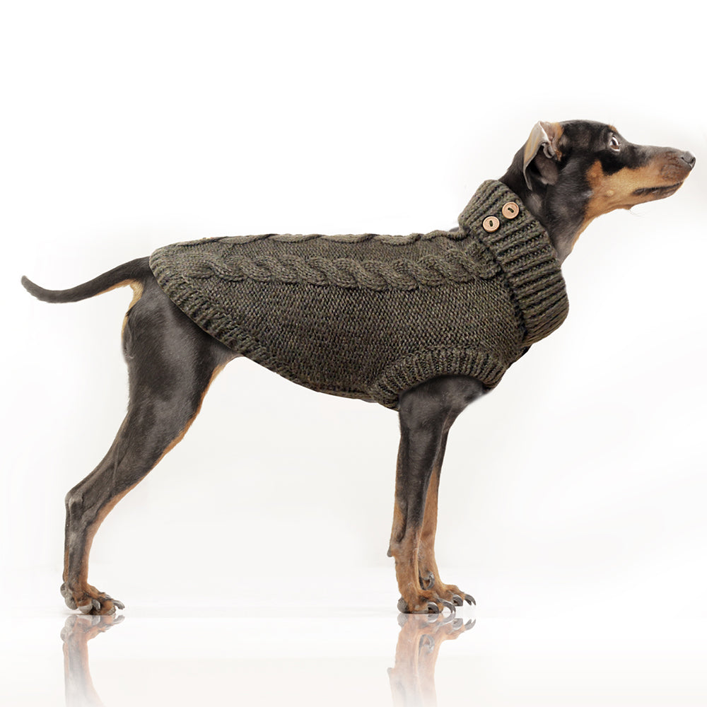 Donovan Cable Dog Sweater in Khaki on Model  (Bulldog Sizes Available) by Fetch Shops