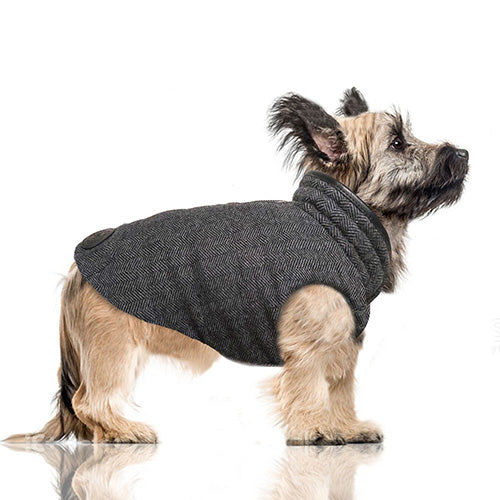 GRAHM Reversible Dog Doat in Charcoal Chevron on Model by Fetch Shops