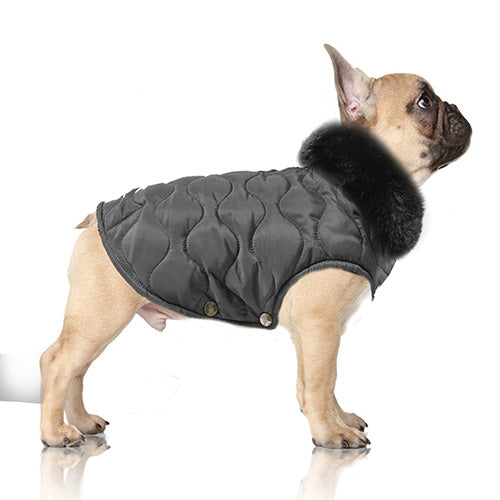 HORTENSE Quilted Dog Coat in Dark Greay (Bulldog Sizes) on Model by Fetch Shops