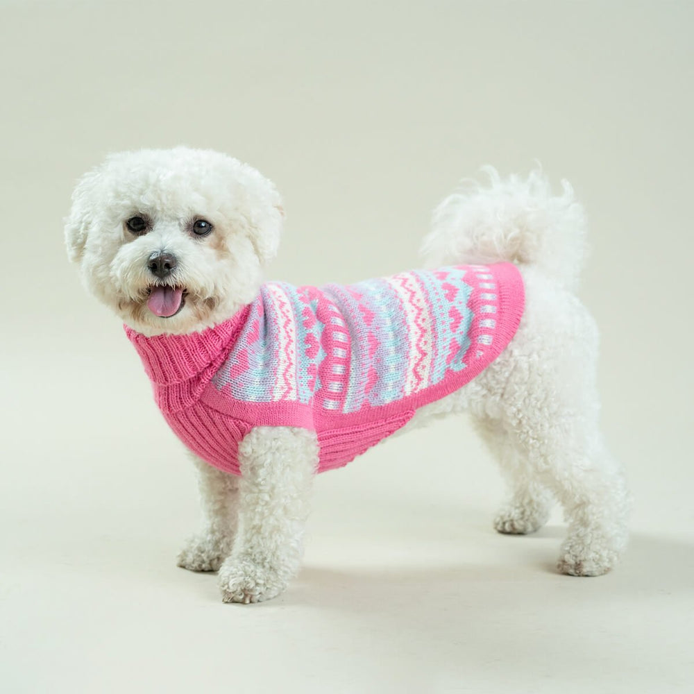 Bubble Gum Alpaca Dog Sweater on Model Sitting by Fetch Shops