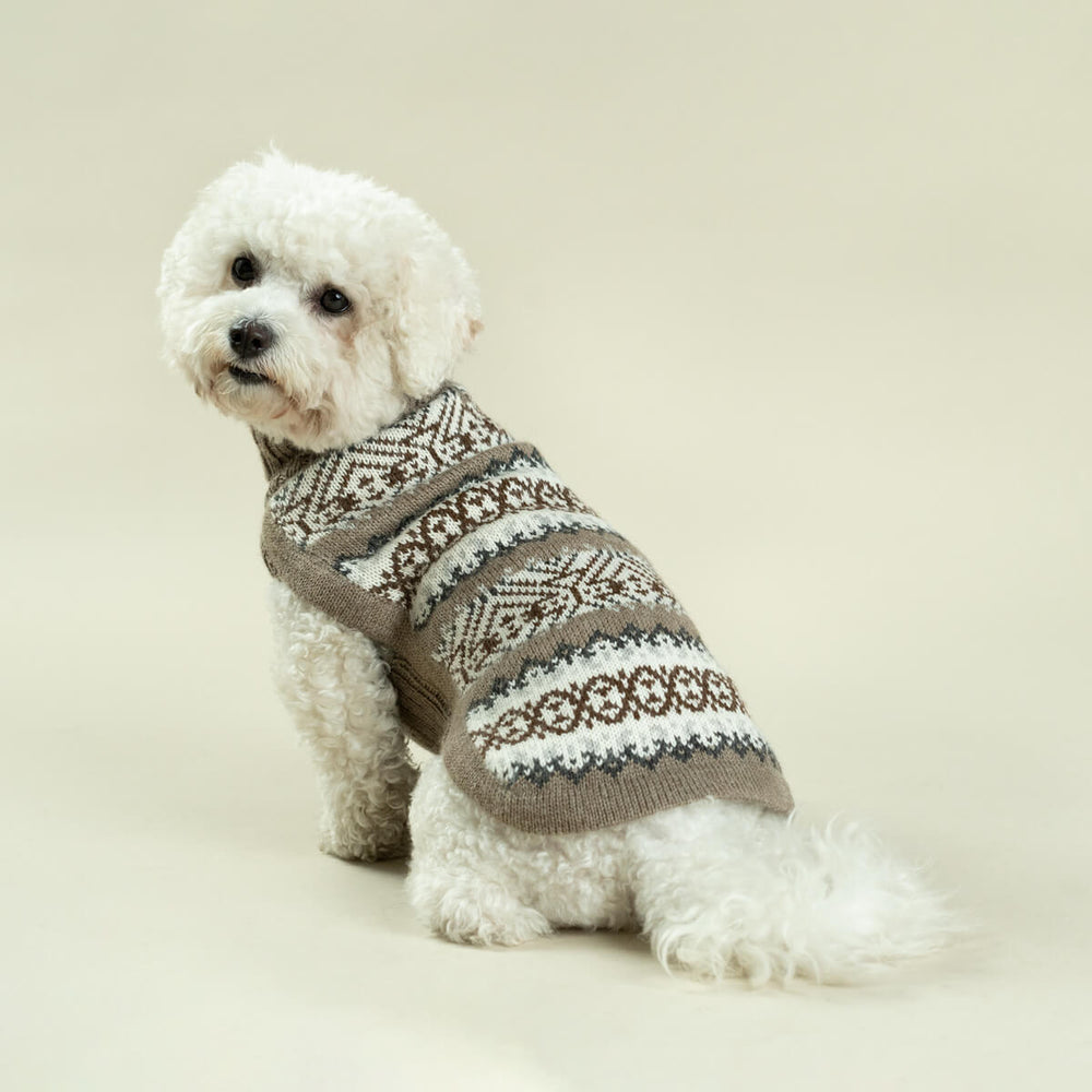 
                
                    Load image into Gallery viewer, Echoes Alpaca Dog Sweater on Model Sitting by Fetch Shops
                
            