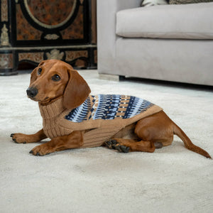 Alqo Wasi Magic Ice Alpaca Dog Sweater on Model @ by fetch Shops
