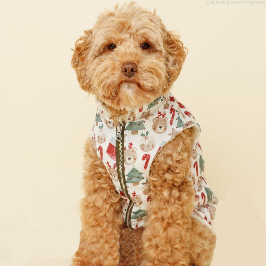 The Jingle Bells Reversible Teddy Dog Vest