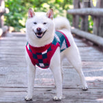 Oh, Christmas Tree Holiday Dog Sweater