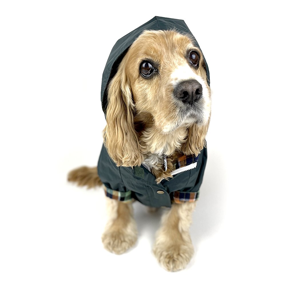 Dog Rain Jacket in Forest Green on Model by Fetch Shops