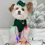 Evergreen Dog Sweater on Model 2 by Fetch Shops