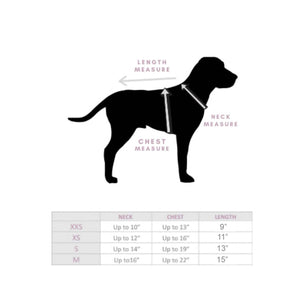 Pawsion by Gigi Sweater Size Chart by Fetch Shops