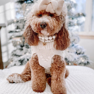 Sugar Cookie Dog Sweater on Model by Fetch Shops