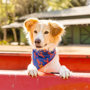 
                
                    Load image into Gallery viewer, The Foggy Dog Catch of the Day Dog Bandana on Model Navy by Fetch Shops
                
            