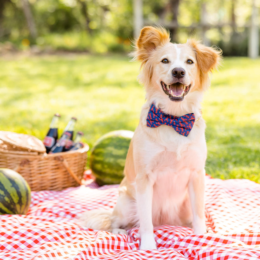
                
                    Load image into Gallery viewer, Catch of the Day Dog Bow Tie
                
            