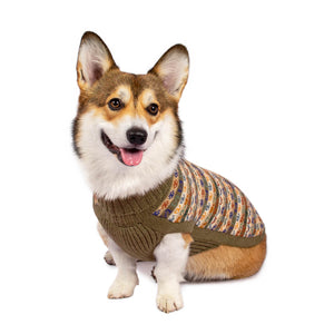 
                
                    Load image into Gallery viewer, Chocolate Bands Alpaca Dog Sweater on Model by Fetch Shops 
                
            