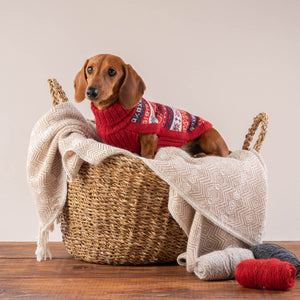 Heritage Alpaca Dog Sweater on Model 3 by Fetch Shops