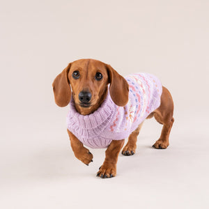 Lavender Sunrise Alpace Dog Sweater on Model by Fetch Shops