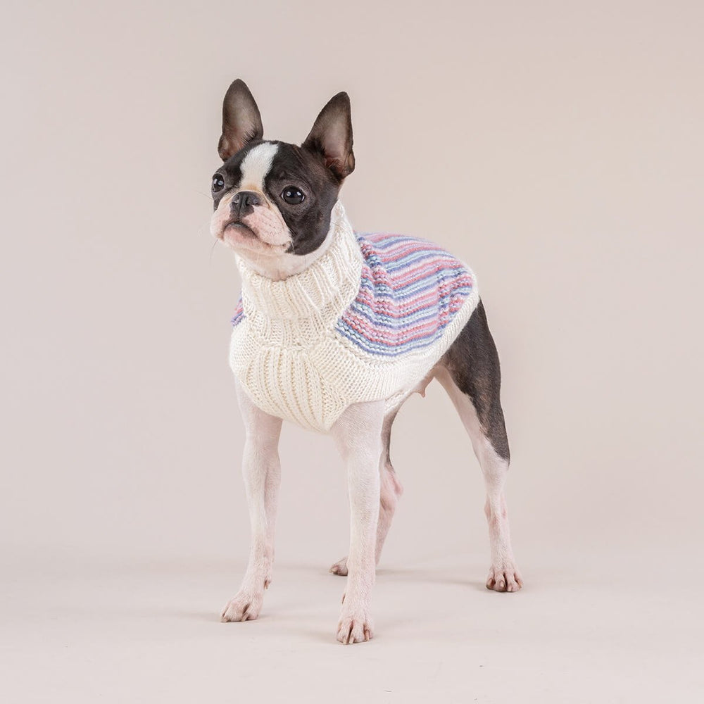 
                
                    Load image into Gallery viewer, Popcorn Candy Alpaca Dog Sweater on Model 3 by Fetch Shops
                
            