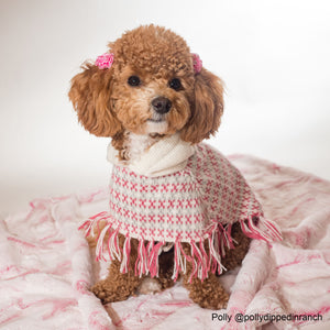 Sophia Alpaca Dog Poncho in Pink on Model Polly @pollydippedinranch by Fetch Shops