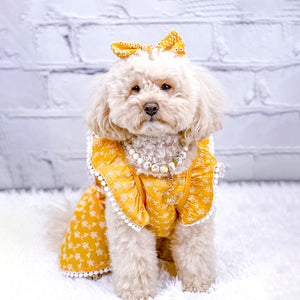 Eyelet Dog Sundress in Sunflower Yellow on Model by Fetch Shops