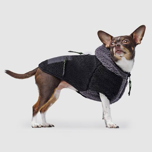 Cool Factor Dog Hoodie in Black/Grey on Model by Fetch Shops