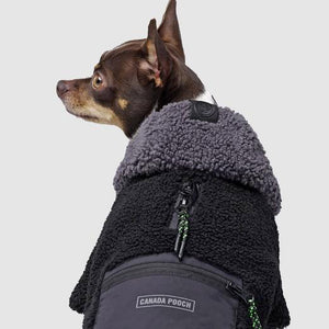 
                
                    Load image into Gallery viewer, Cool Factor Dog Hoodie in Black/Grey on model detail by Fetch Shops
                
            