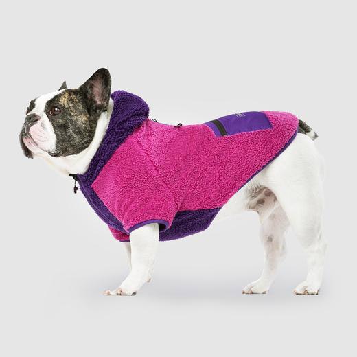 
                
                    Load image into Gallery viewer, Cool Factor Dog Hoodie in Pink/Purple by Fetch Shops
                
            