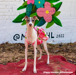 Aloha Pink Hawaiian Dog Dress on Model Mouse 2 by Fetch Shops