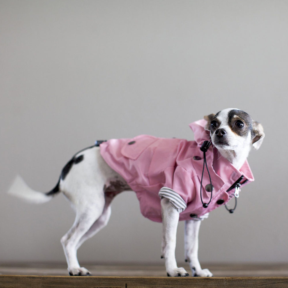 
                
                    Load image into Gallery viewer, Dog Raincoat in Pink on Model by Fetch SHops
                
            