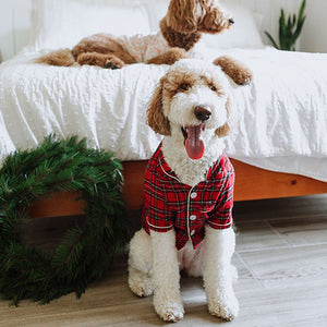 Holiday Plaid Dog Pajama + Human Eye Pillow Lifestyle by Fetch Shops
