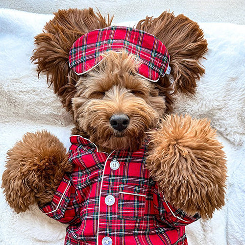 Holiday Plaid Dog Pajama + Human Eye Pillow on Model by Fetch Shops