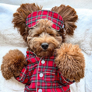 
                
                    Load image into Gallery viewer, Holiday Plaid Dog Pajama + Human Eye Pillow on Model by Fetch Shops
                
            