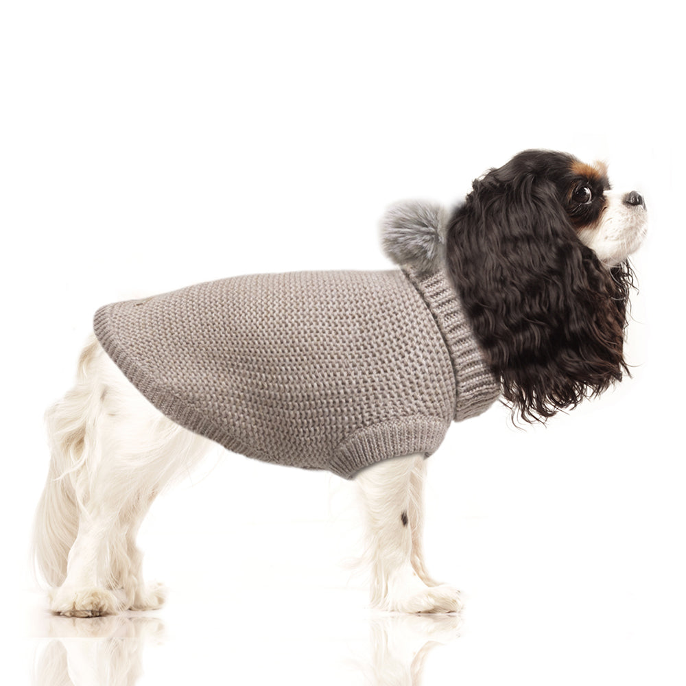
                
                    Load image into Gallery viewer, Camille Gold Metallic Thread Dog Sweater in Taupe on Model by Fetch Shops
                
            