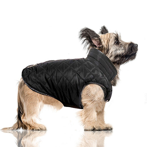 
                
                    Load image into Gallery viewer, GRAHAM Reversible Dog Coat in Black Quilt on Model by Fetch Shops
                
            