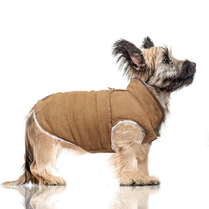 KIERAN Reversible Dog Coat in Camel on Model by Fetch Shops