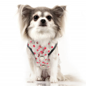 
                
                    Load image into Gallery viewer, Milk &amp;amp; Pepper Pioggia Transparent Dog Raincoat on Model by Fetch Shops
                
            