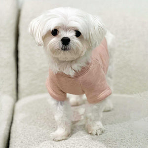 
                
                    Load image into Gallery viewer, LOCAL Vintage Style Crewneck Dog Top in Rose Pink on Model by Fetch Shops
                
            