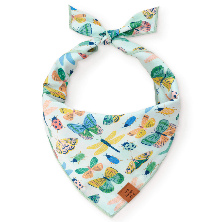 
                
                    Load image into Gallery viewer, Cute as a bug Dog Bandana by Fetch Shops
                
            